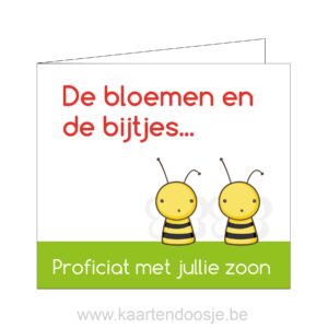 Proficiat kaartje bloemen en bijtjes Oudenaarde