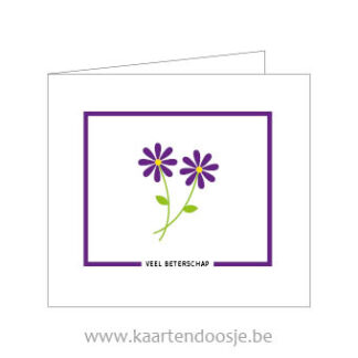 Wenskaarten afscheid veel beterschap bloem